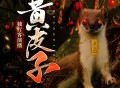 《黄皮子》灵异恐怖 独行客演播 424集全