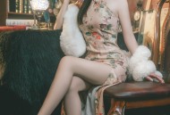 鹿八岁 - 特工的堕落 前篇/(80P)