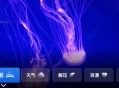 任意窗TV v2.5.1067 动态氛围 沉浸式体验
